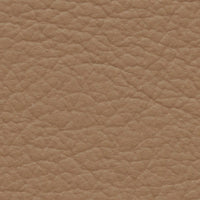 Brown Thrasher (FE4012)