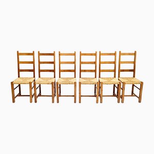 Brutalist Oak Antique Dining Chairs with Rush Seating, Set of 6-QQA-1110153