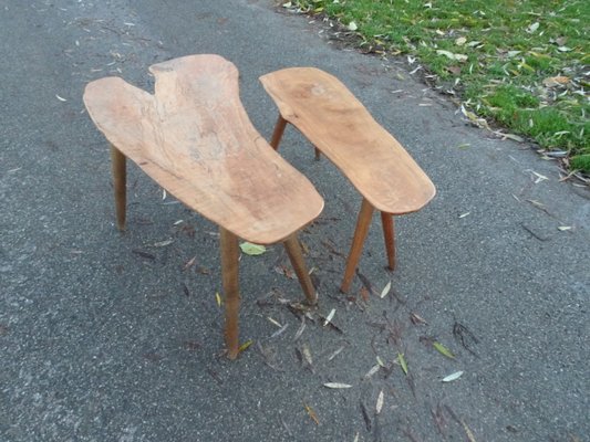 Brutalist Organic Freeform Nesting Tables in Walnut, Set of 2-AWL-1166550