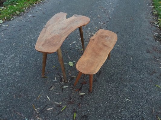 Brutalist Organic Freeform Nesting Tables in Walnut, Set of 2-AWL-1166550