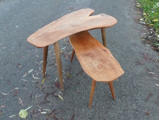 Brutalist Organic Freeform Nesting Tables in Walnut, Set of 2-AWL-1166550