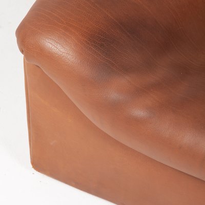 Buffalo Leather DS-46 Lounge Chairs from De Sede, 1970s, Set of 2-QVY-957239