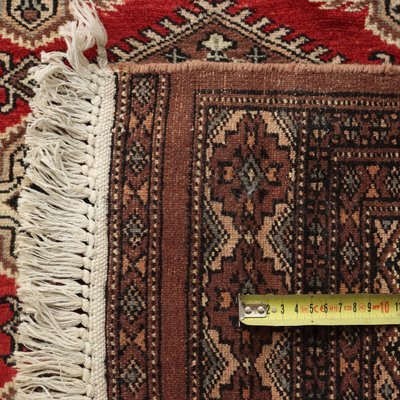 Bukhara Rug in Wool & Cotton Thin Knot-VMM-2022005