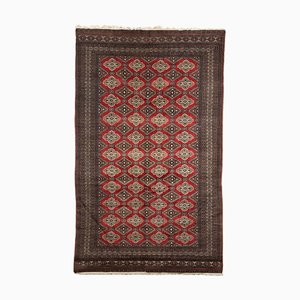 Bukhara Rug in Wool & Cotton Thin Knot-VMM-2022005