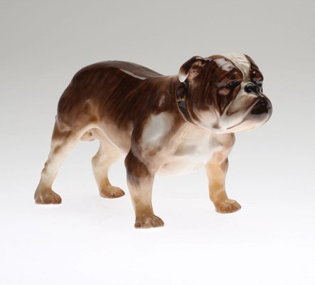 Bulldog from Royal Doulton-WMV-1127608