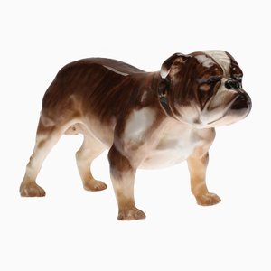 Bulldog from Royal Doulton-WMV-1127608