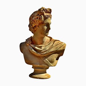 Bust of Apollo Pitico Belvedere, Early 1900s, Terracotta-FDW-2023347