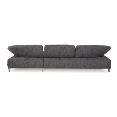 Butterfly Fabric Corner Sofa in Grey by Ewald Schillig-RQW-2036298