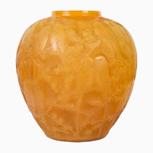 Butterscotch Parakeet Vase by René Lalique, 1919-DFB-1821820