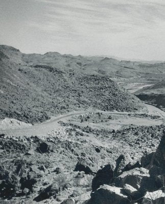 Cacti, Rio Grande, USA, 1960s, Black & White Photograph-DYV-1245432