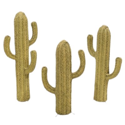 Cactus in Esparto Grass-TCS-1284156