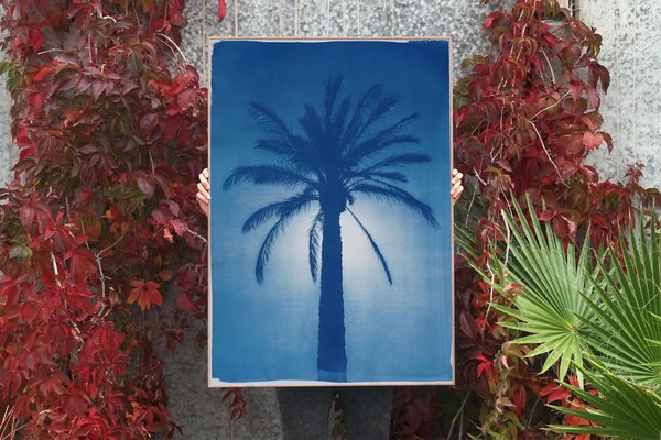 Cairo Citadel Palm, 2021, Cyanotype on Paper-RWC-1158240