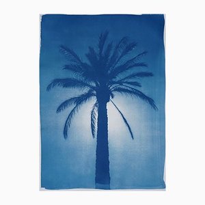 Cairo Citadel Palm, 2021, Cyanotype on Paper-RWC-1158240