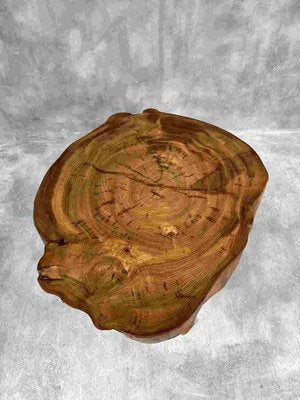 Canadian Tree Trunk Table-DWL-1347240