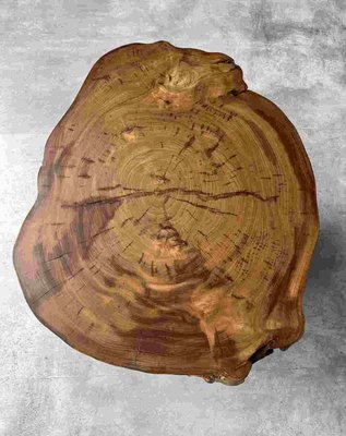 Canadian Tree Trunk Table-DWL-1347240