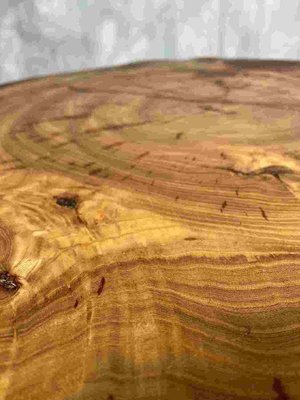 Canadian Tree Trunk Table-DWL-1347240