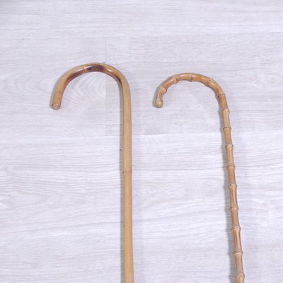 Cane Holder with Canes, 1990s, Set of 7-XSG-1768775