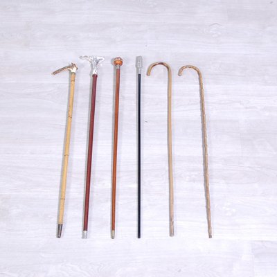 Cane Holder with Canes, 1990s, Set of 7-XSG-1768775