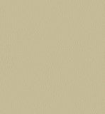 inca P142