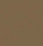 inca P143