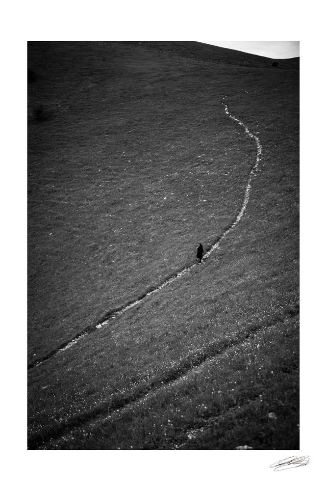 Carlo Caboni, Violinist, Photograph, 2020