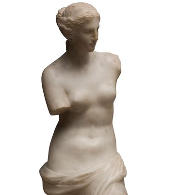 Carrara Marble Sculpture Copy of Venus de Milo, 1820s-ZCI-751812