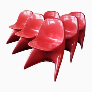 Casalino 1 Children's Chairs by Alexander Begge for Casala, Italy, 1970s, Set of 6-NV-1309794