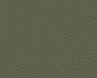 VERDE FORESTA (13Y301)