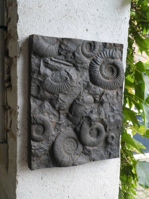 Cast Iron Plate Decorated with Ammonite Fossils, 1960s-QAV-2031463