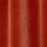 Amazonie 025