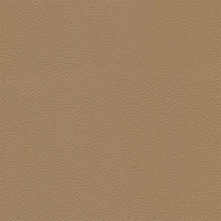 SC 55 Camel Hair