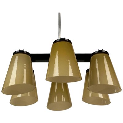 Ceiling Lamp with 6 Handmade Opaline Glass Shades from Lidokov, 1950s-BAF-763520