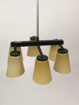 Ceiling Lamp with 6 Handmade Opaline Glass Shades from Lidokov, 1950s-BAF-763520