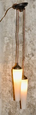 Ceiling Lamp with Two Cone-Shaped Lampshades, 1950s