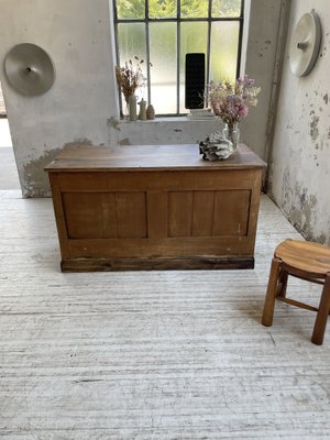 Central Shop Counter or Island in Walnut, 1890s-LCU-1406452