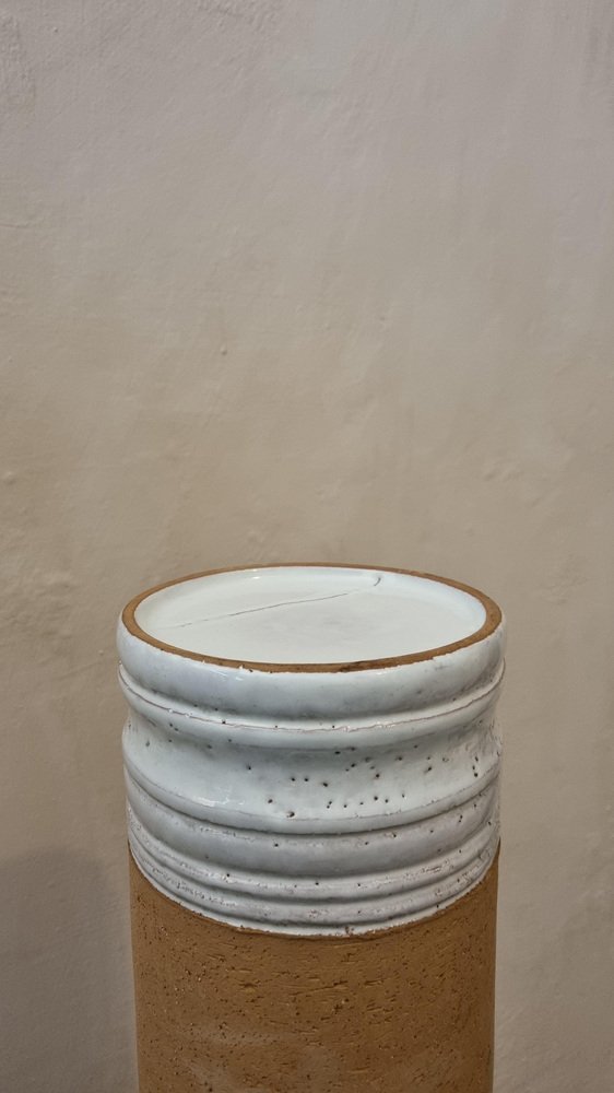 Ceramic Planter from Bitossi Ceramiche Montelupo, 1970s