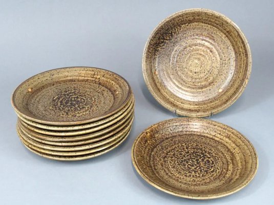 Ceramic Soup Tureen and Dinner Plate Set from Potier de l'Abbaye, 1960s, Set of 11-SSK-1452672