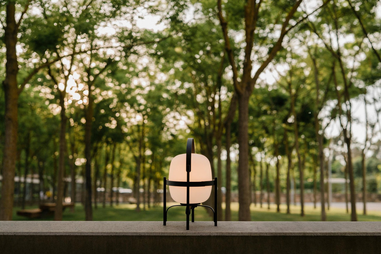 Cestita Alubat Table Lamp by Miguel Milá