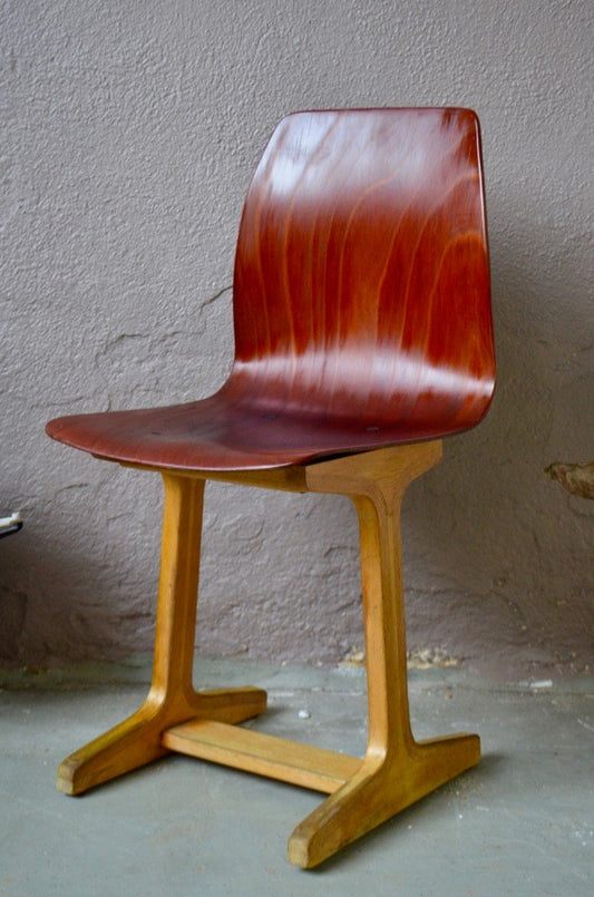 Chair by Adam Stegner for Pagholz Flöttoto, 1960s