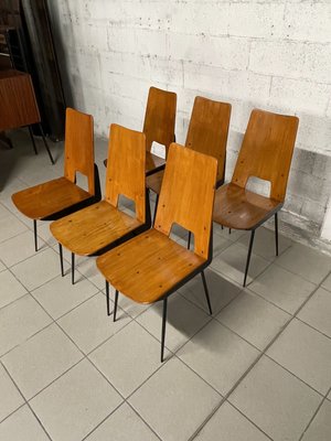 Chairs attributed to Carlo Ratti for Società Compensati Curvati, 1950s, Set of 6-JHL-2035779