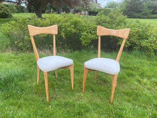 Chairs by Ico Parisi for Ariberto Colombo, 1950s, Set of 2-HFR-924288