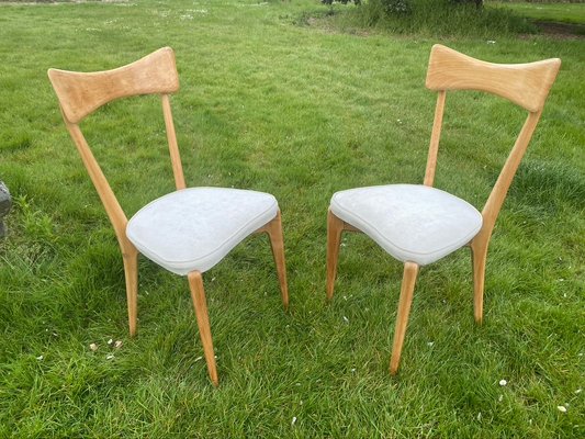 Chairs by Ico Parisi for Ariberto Colombo, 1950s, Set of 2-HFR-924288