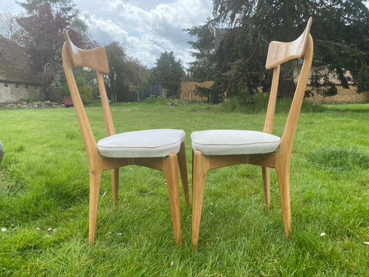 Chairs by Ico Parisi for Ariberto Colombo, 1950s, Set of 2-HFR-924288