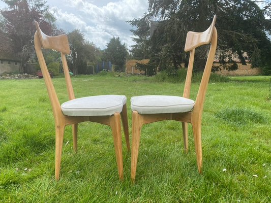 Chairs by Ico Parisi for Ariberto Colombo, 1950s, Set of 2-HFR-924288