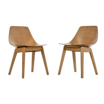 Chairs by Pierre Guariche, Set of 2-NQ-1161287