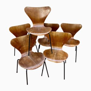 Chairs from Jacobsen, Set of 7-DY-2020858