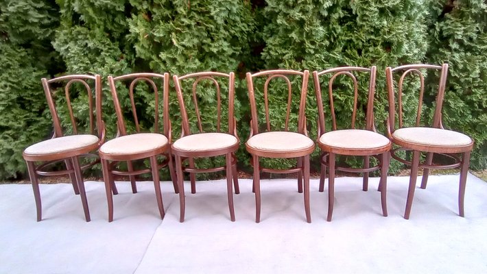 Chairs in Beech Bentwood from Tatra, 1960s, Set of 6-VIC-1816022