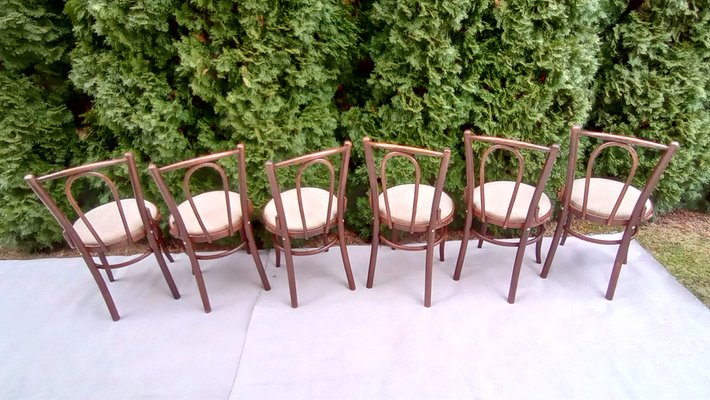 Chairs in Beech Bentwood from Tatra, 1960s, Set of 6-VIC-1816022