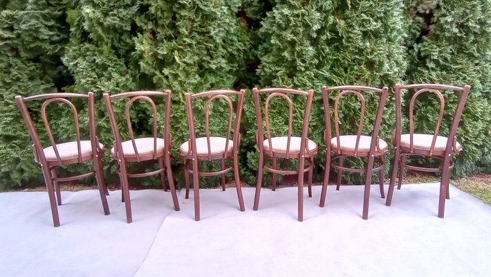 Chairs in Beech Bentwood from Tatra, 1960s, Set of 6-VIC-1816022