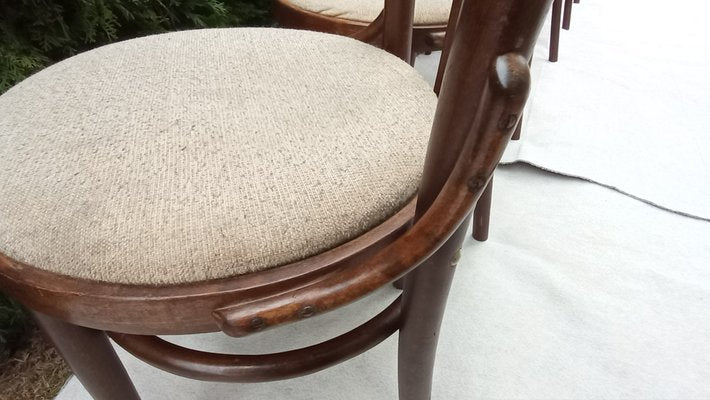 Chairs in Beech Bentwood from Tatra, 1960s, Set of 6-VIC-1816022